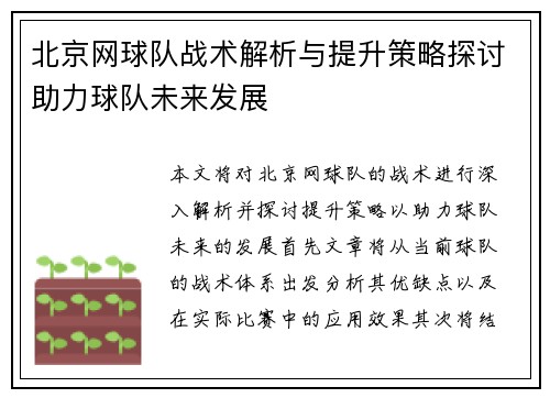 北京网球队战术解析与提升策略探讨助力球队未来发展