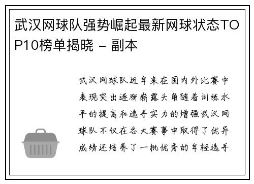 武汉网球队强势崛起最新网球状态TOP10榜单揭晓 - 副本
